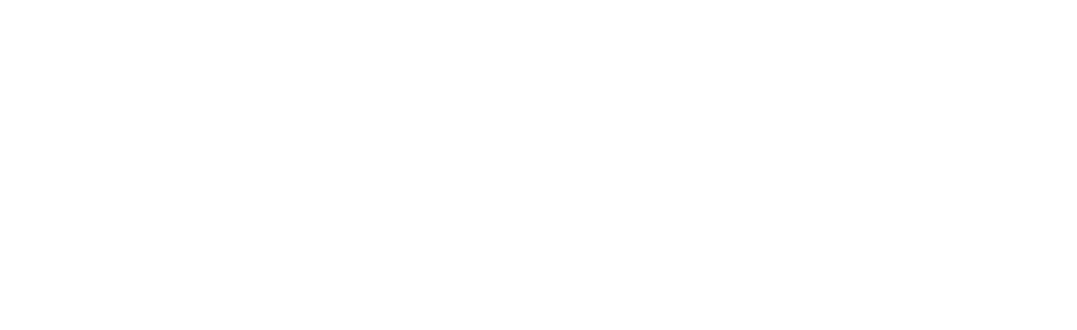 GeoFlow SDI
